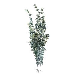 Bouquet de thym - an