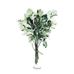 Bouquet de persil - fr