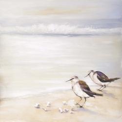 Two sandpipers on the beach