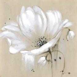 Fleur sauvage blanche et abstraite