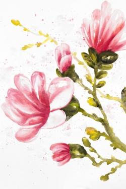 Watercolor magnolia flowers