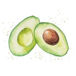 Watercolor open avocado