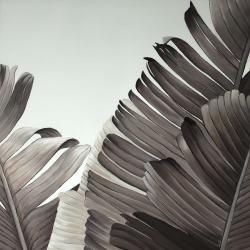 Feuilles tropicales en tons de gris