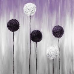 Fleur d'allium blanches et mauve