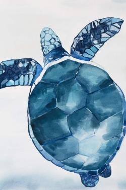 Watercolor blue turtle