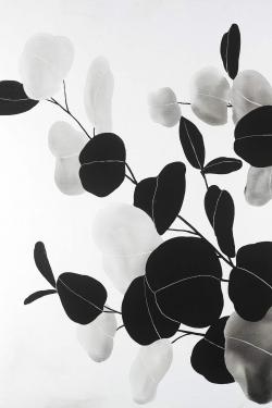 Grayscale branches with leaves