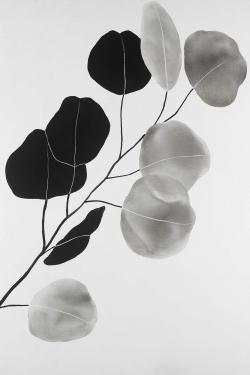 Grayscale branch with round shape leaves