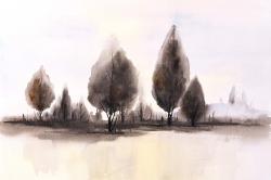 Landscape of trees