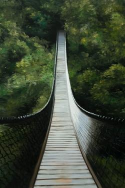 Suspended bridge in the forest