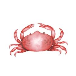 Crab