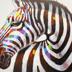 Colorful zebra