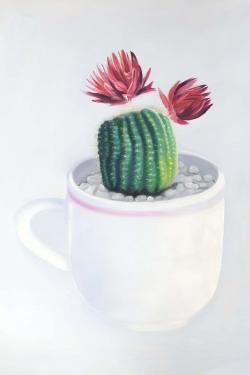 Mini cactus dans une tasse