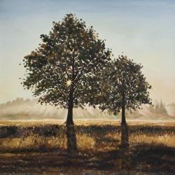 Trees in the countryside