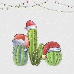 Cactus de noël