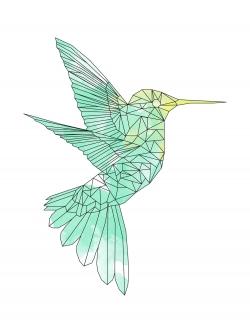 Geometric hummingbird