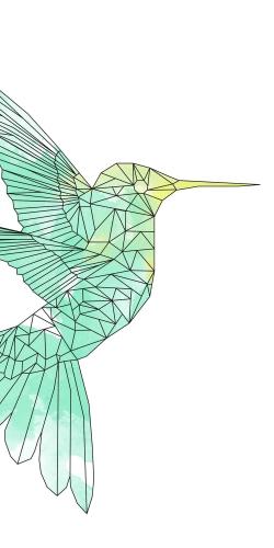 Geometric hummingbird