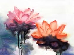 Fleurs de lotus à l'aquarelle