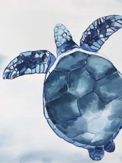 Watercolor blue turtle