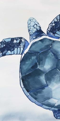 Watercolor blue turtle