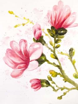 Watercolor magnolia flowers