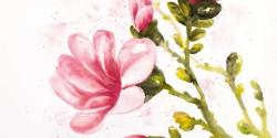 Watercolor magnolia flowers