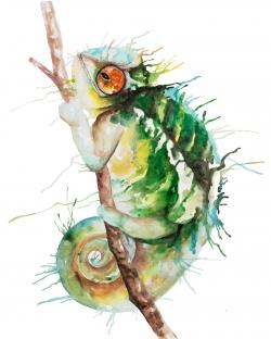 Watercolor chameleon
