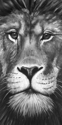 Portrait de lion