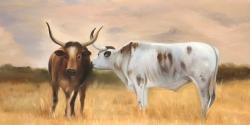 Nguni herd