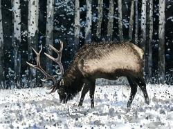 Caribou dans la forêt d'hiver