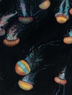 Colorful jellyfishes swimming in the dark