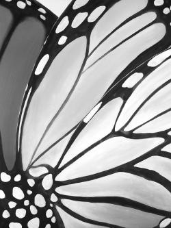 Monarch wings closeup