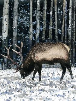 Caribou dans la forêt d'hiver