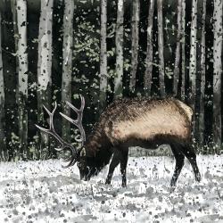 Caribou in the forest