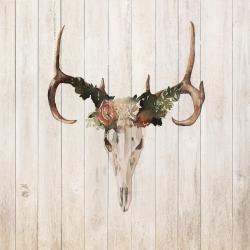 Mule deer skull with roses