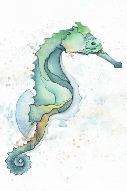 Sea horse