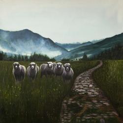 Sheep in the countryside