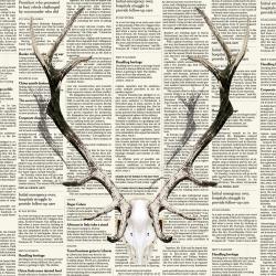 Bois de cerf sur papier journal