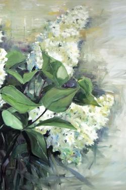 White lilacs