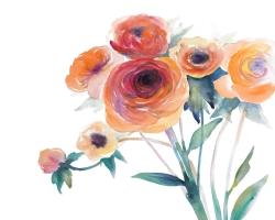 Watercolor flowers