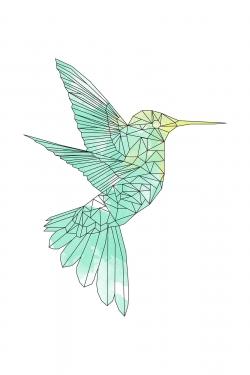 Geometric hummingbird