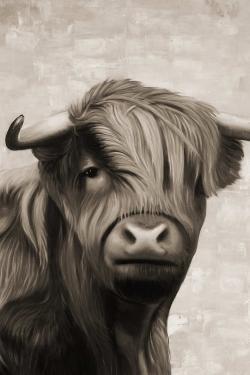 Highland cattle sepia