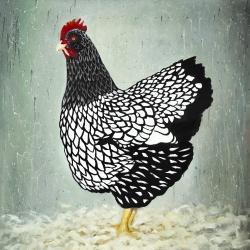 Wyandotte  hen