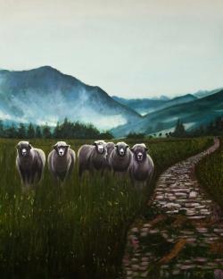 Sheep in the countryside