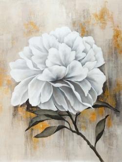 Pivoine blanche