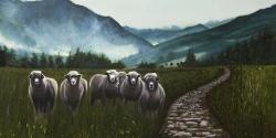 Sheep in the countryside