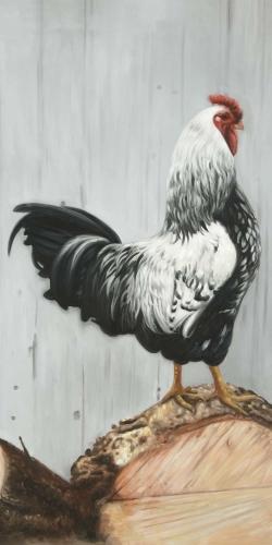 Wyandotte rooster