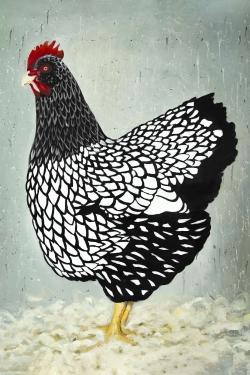 Wyandotte  hen