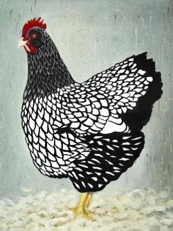 Wyandotte  hen