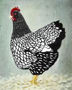 Wyandotte  hen