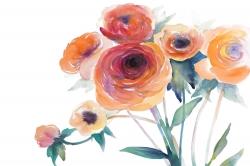 Watercolor flowers